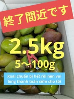 摘果マンゴー 2.5kg 5〜100g - メルカリ