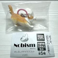 Nobism のびズム　コーギー マスコット　めじるしガチャマスコットのサムネイル
