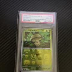 psa10 タマゲタケ C ブラックボルト マスターボールのサムネイル