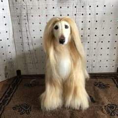 m16485092149_1.jpg?1741757195