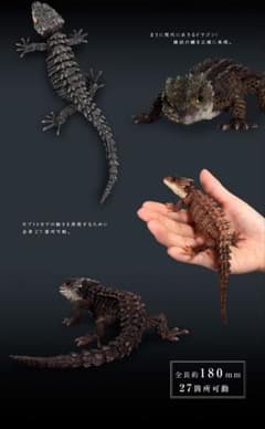 【全4種】　いきもの大図鑑　アカメカブトトカゲ　モトイカブトトカゲ　ガチャ 全4種】 いきもの大図鑑 アカメカブトトカゲ モトイカブトトカゲ