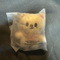 即購入可⭐︎レーナ&シン⭐︎ぬいぐるみ Straykids ジニレット 10cmぬいぐるみ 5'CLOCK ヒョンジン - メルカリ