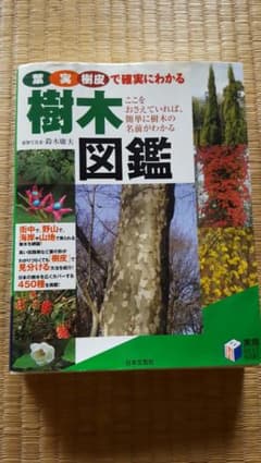 葉・実・樹皮で確実にわかる樹木図鑑のサムネイル