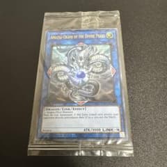 遊戯王 神峰之天津龗 アマツオオカミ WCS2019 未開封品 - メルカリ