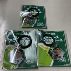 Softbank Hawks Players 아크릴 매력 3종 이마미야 야나기초 구리하라