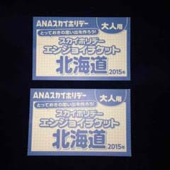 ANAスカイホリデー エンジョイチケットのサムネイル
