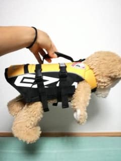 【♡様専用】犬用　ライフジャケット　XSのサムネイル