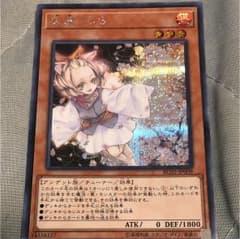 遊戯王 灰流うらら シークレット シクのサムネイル