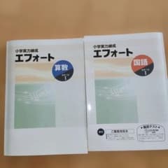 小学実力練成エフォート 算数 国語 ステージI 2冊セットのサムネイル
