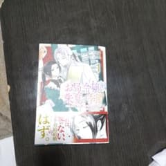 お局令嬢と朱夏の季節 ～冷徹宰相様のお飾りの妻になったはずが、溺愛されています…のサムネイル