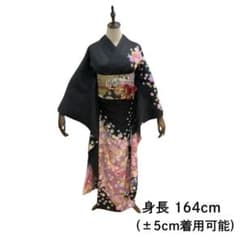 ≪早い者勝ち≫【美品】 振袖セット 成人式 正絹 古典柄 黒 S*30