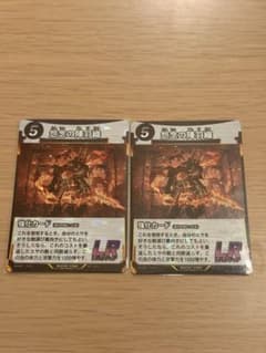 虫神器 怨念の陣羽織 LR 2枚セットのサムネイル