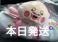 코비토즈칸 봉제인형 담요 카쿠레모모지리