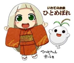 玄米20kg岩手県奥州市前沢産ひとめぼれ令和7年産 - メルカリ