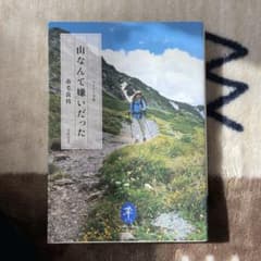 山なんて嫌いだったのサムネイル
