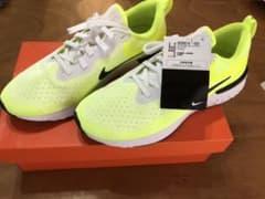 NIKE ナイキ スニーカー※値下げ中のサムネイル