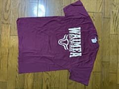 ハワイ　Tシャツ　M ハワイ島ワイメア、パーカーランチのサムネイル
