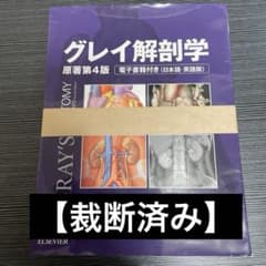 グレイ解剖学のサムネイル