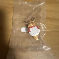 포켓몬 이치 반 쿠지 F상 이브이