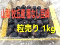 山梨県産 ぶどう/種なし巨峰 粒/粒売り 1kg #2のサムネイル