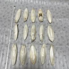 カトルボーン15枚セット13～15㎝　甲　天日乾燥済　インコや亀の餌のサムネイル