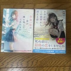 余命一年の僕が君に残してくれたもの / きみが明日、この世界から消える前にのサムネイル