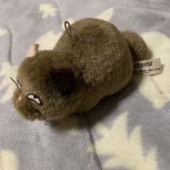耳をすませば　ムーン　ぬいぐるみ　非売品のサムネイル