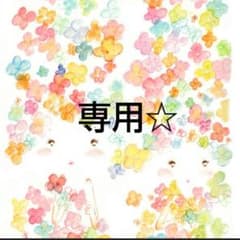 りこ様専用☆のサムネイル