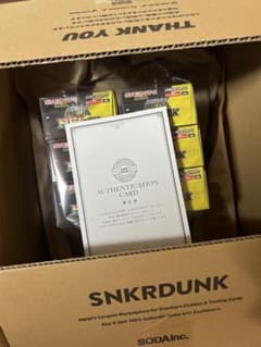 ポケモンカードゲーム MEGAドリームex 6BOXシュリンクなし、封入率一致