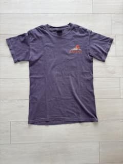 Comfort Colors Jackson Hole Tシャツ Sのサムネイル