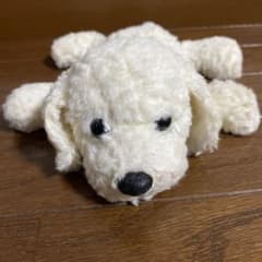 m16516542850_1.jpg?1751286414