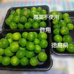 すだち　訳あり酢用　２.５キロ現品のサムネイル