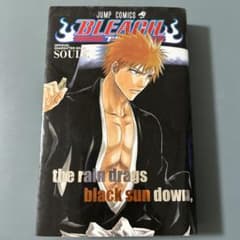 m*様 Bleach official character book soulsのサムネイル