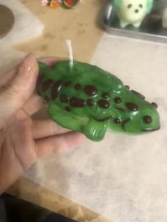 雷魚のサムネイル