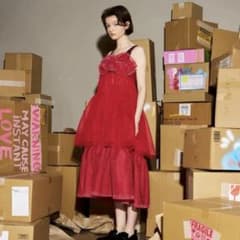 POPPY あさぎーにょ GATHER FRILL TULLE DRESS - メルカリ