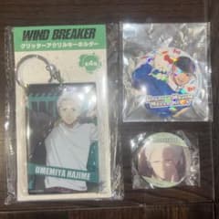 WIND BREAKER 梅宮一 まとめ売り