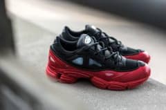 Ozweego 27cm Raf Simonsのサムネイル