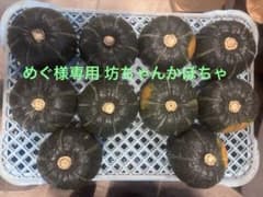 北海道産 坊ちゃんかぼちゃ 10個セットのサムネイル