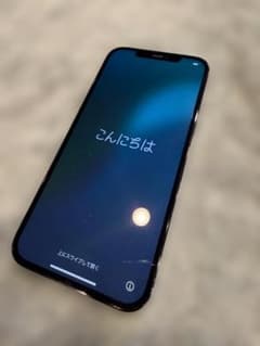 iPhone 12 Pro Maxのサムネイル