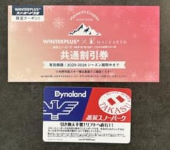 高鷲スノーパーク ダイナランド 共通リフト券 1枚 割引券付き - メルカリ