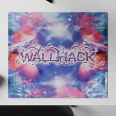 WALLHACK SP-005 AsahiNa PARCO GAME - メルカリ