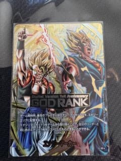 GOD RANK 에너지 마커 고지타 & 베짓 퓨전 월드