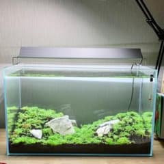 アクアリウムセットのサムネイル