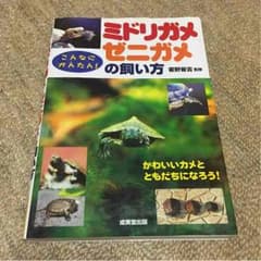 ミドリガメ ゼニガメの飼い方の本のサムネイル