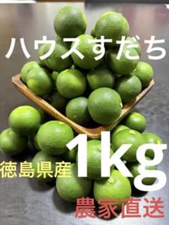徳島県産 ハウスすだち 1kgのサムネイル