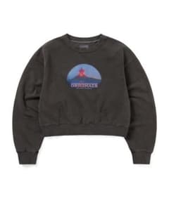 thisisneverthat ダークグレー クロップドスウェット M