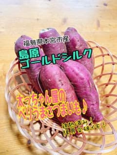 太っちゃん屋のベリうまさつまいも　島原ゴールドシルク 太っちゃん屋のベリうまさつまいも 島原ゴールドシルク10kg - メルカリ