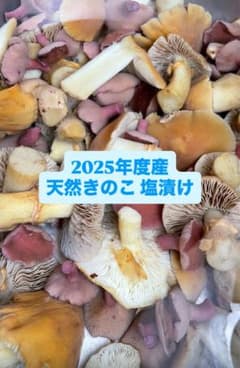 h-aさま 専用 600g 塩漬け天然きのこのサムネイル