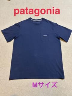 Patagonia Responsibili-tee ポケットTシャツのサムネイル