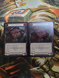 Codex of Bloodrot 2枚セット FLESH AND BLOOD - メルカリ